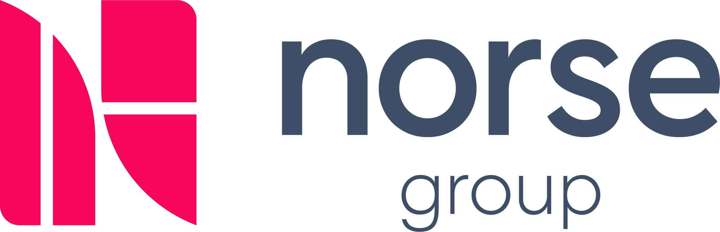 NORSE GROUP