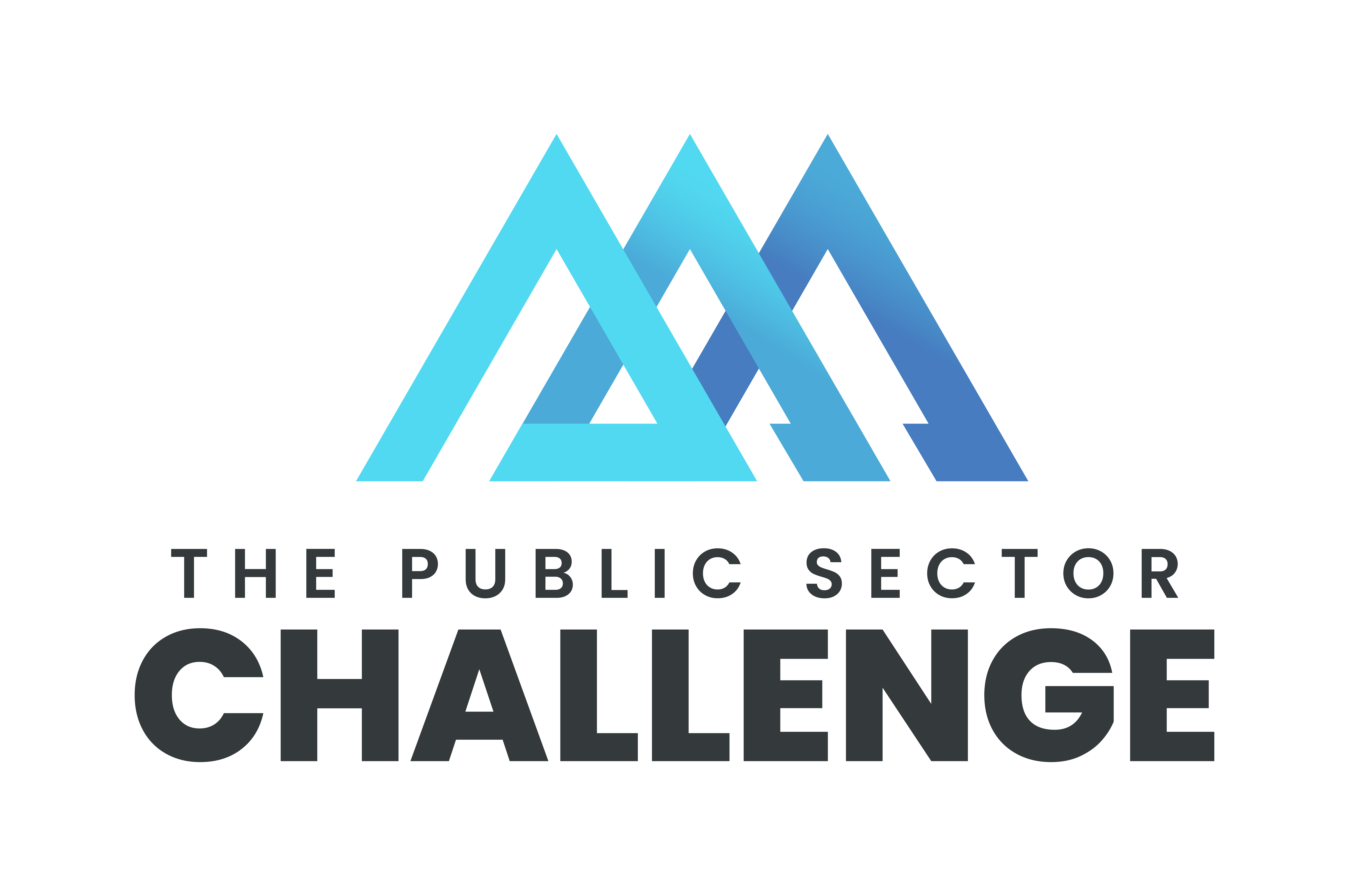 Public Sector Challenge